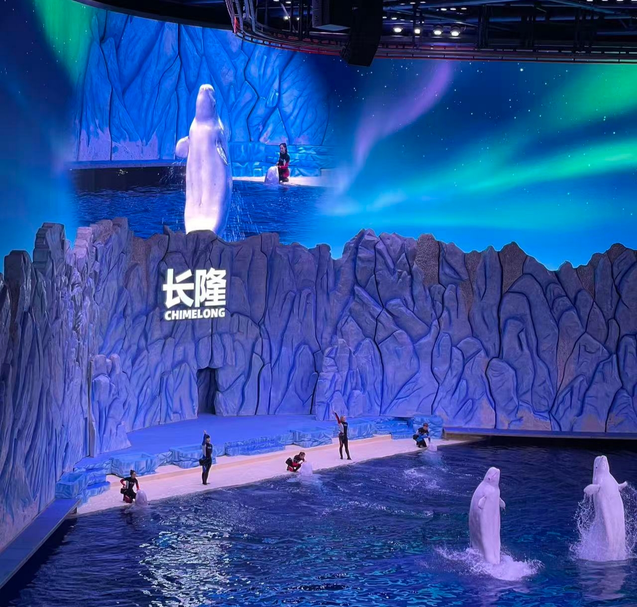 微信图片_20250919093004_46_28